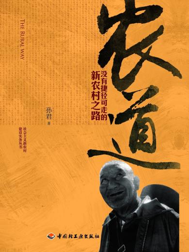 没有捷径可走的新农村之路：农道