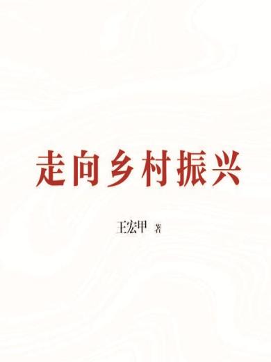 走向乡村振兴（中）