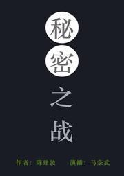 秘密之战