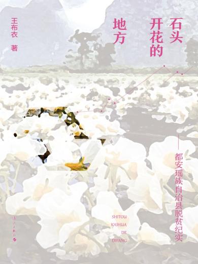 石头花开的地方...