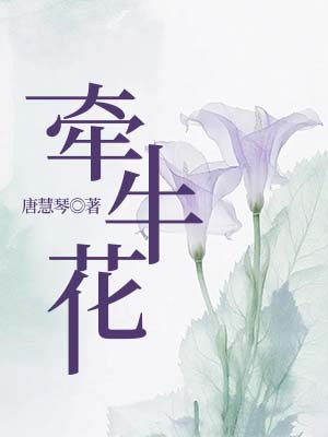 牵牛花